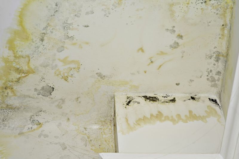 Air Duct Mold Removal in Frisco, TX