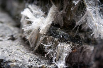 Asbestos Assessment