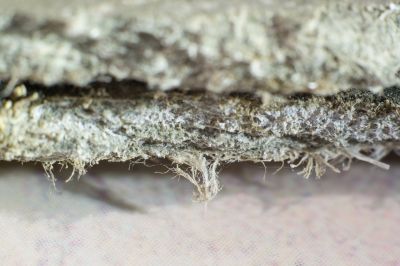 Asbestos Removal in Monmouth County, NJ
