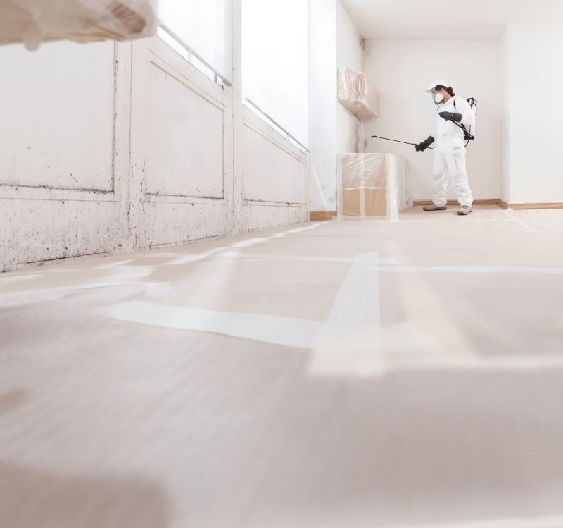 Attic Mold Removal in Bergen County, NJ