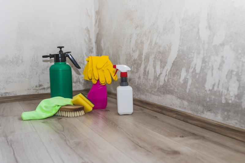 Basement Mold Remediation in Broward County, FL