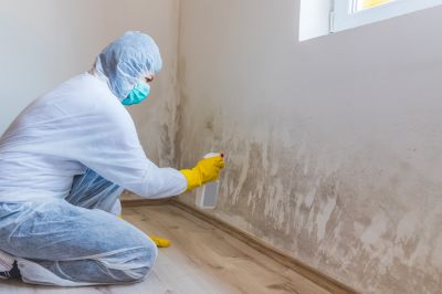 Basement Mold Remediation in Broward County, FL