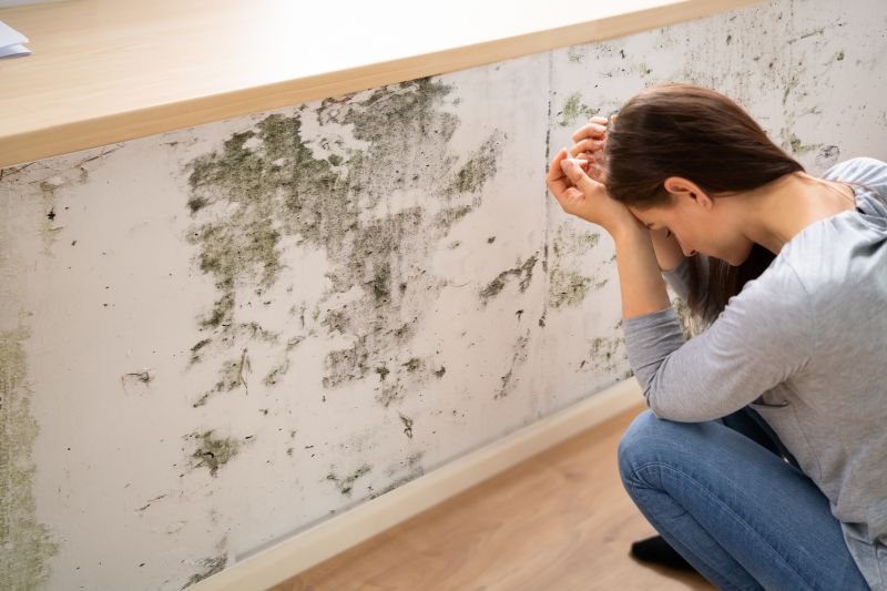 Mold Abatement in Broward County, FL