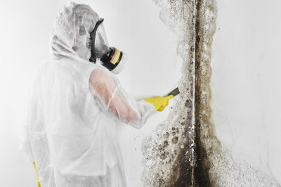 Mold Abatement Service in Broward County, FL