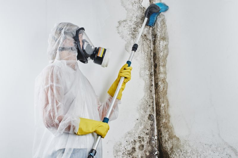 Mold Mitigation Service in Broward County, FL