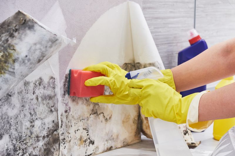 Mold Remediation Service in Essex County, NJ