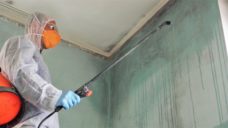 Mold Removal in Fort Worth, TX