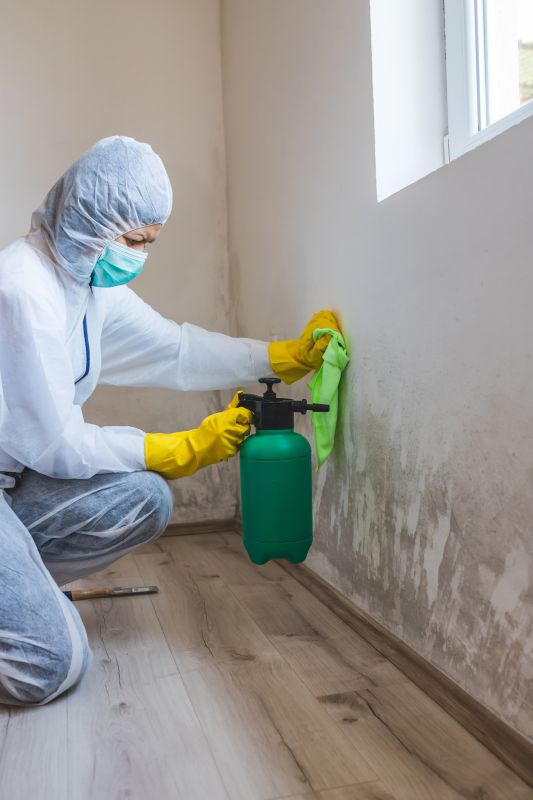 Attic Mold Removal in Essex County, NJ