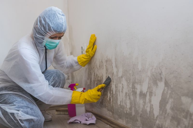 Crawlspace Mold Remediation in Frisco, TX